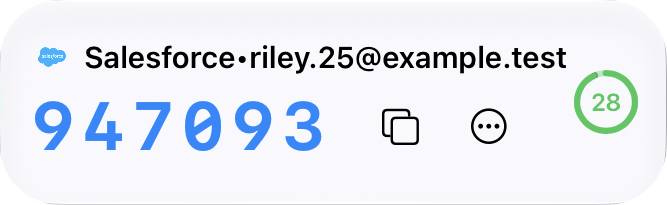 Salesforce verification code, 28 seconds remaining