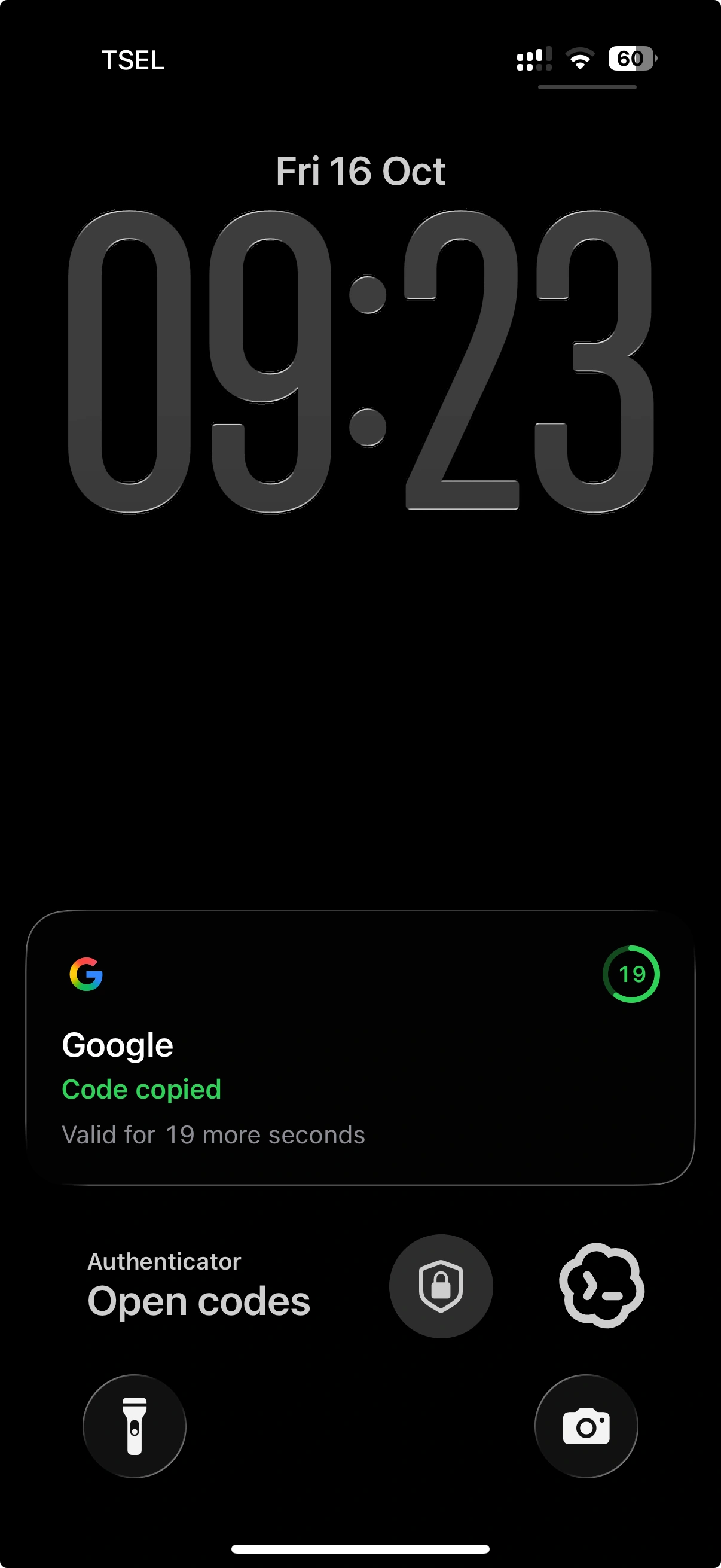 Owner-provided iPhone Lock Screen: Google code copied with 19 seconds remaining and Authenticator Open Codes widget